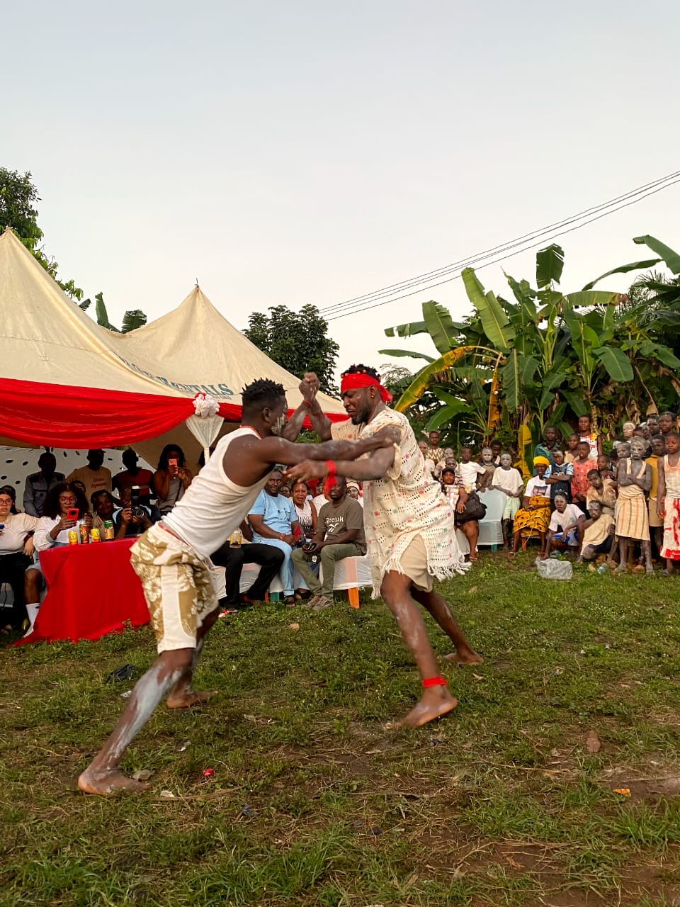 Traditional Festival Attire