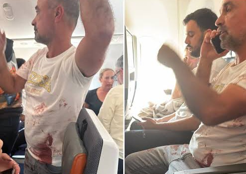 Video shows moment passengers intervene as pilot st@bs co-pilot while attempting to hijack plane