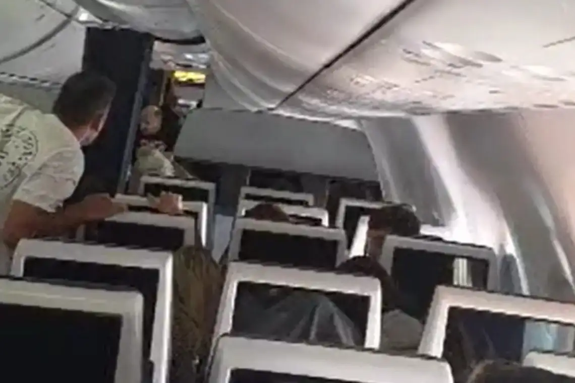 Video shows moment passengers intervene as pilot st@bs co-pilot while attempting to hijack plane