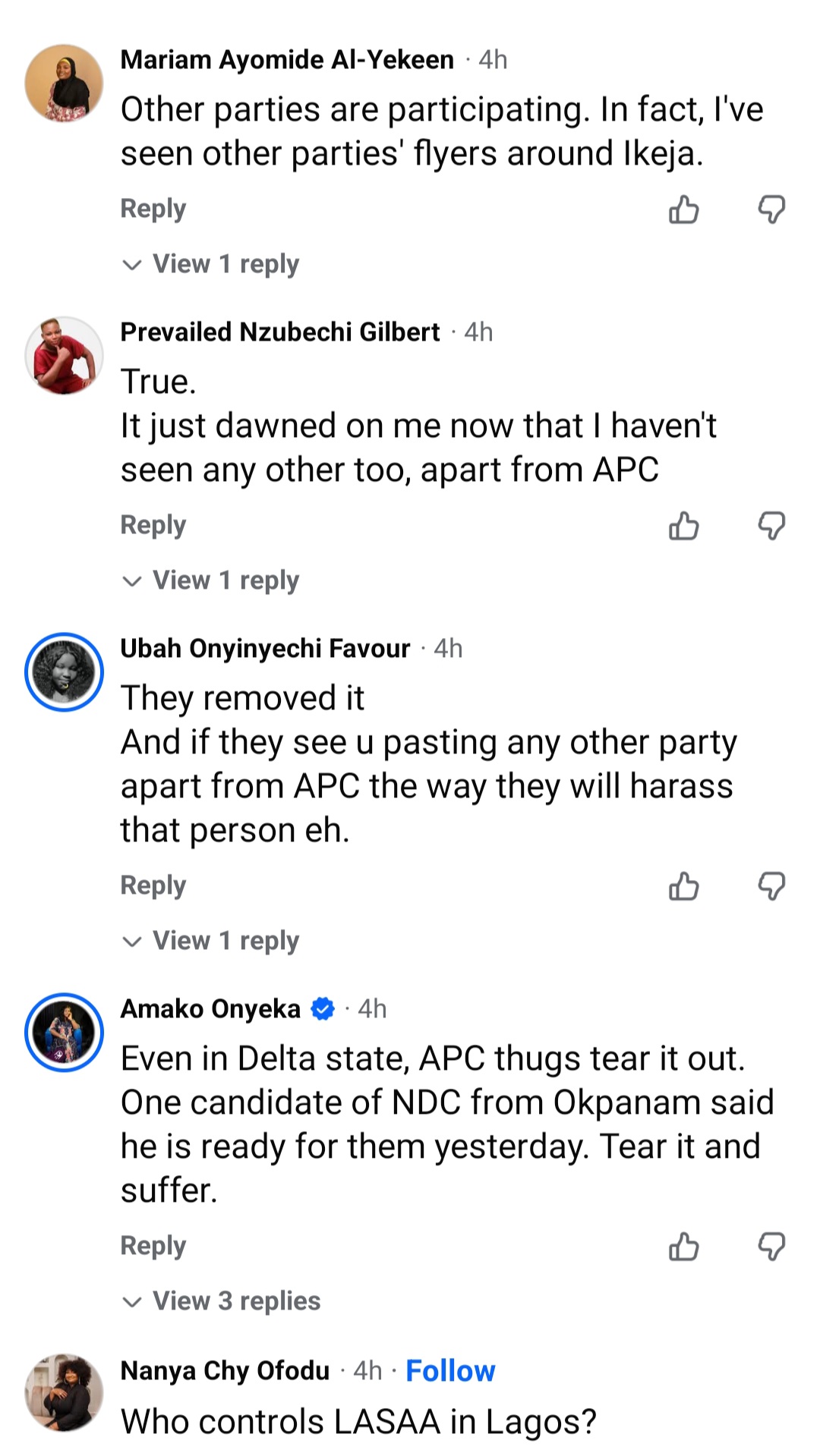 Woman shares observation in Lagos amid upcoming general elections