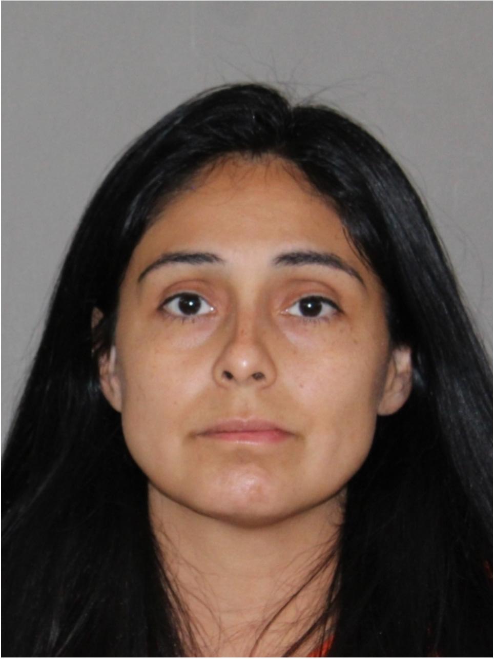 Mother allegedly stabs husband and two young children
