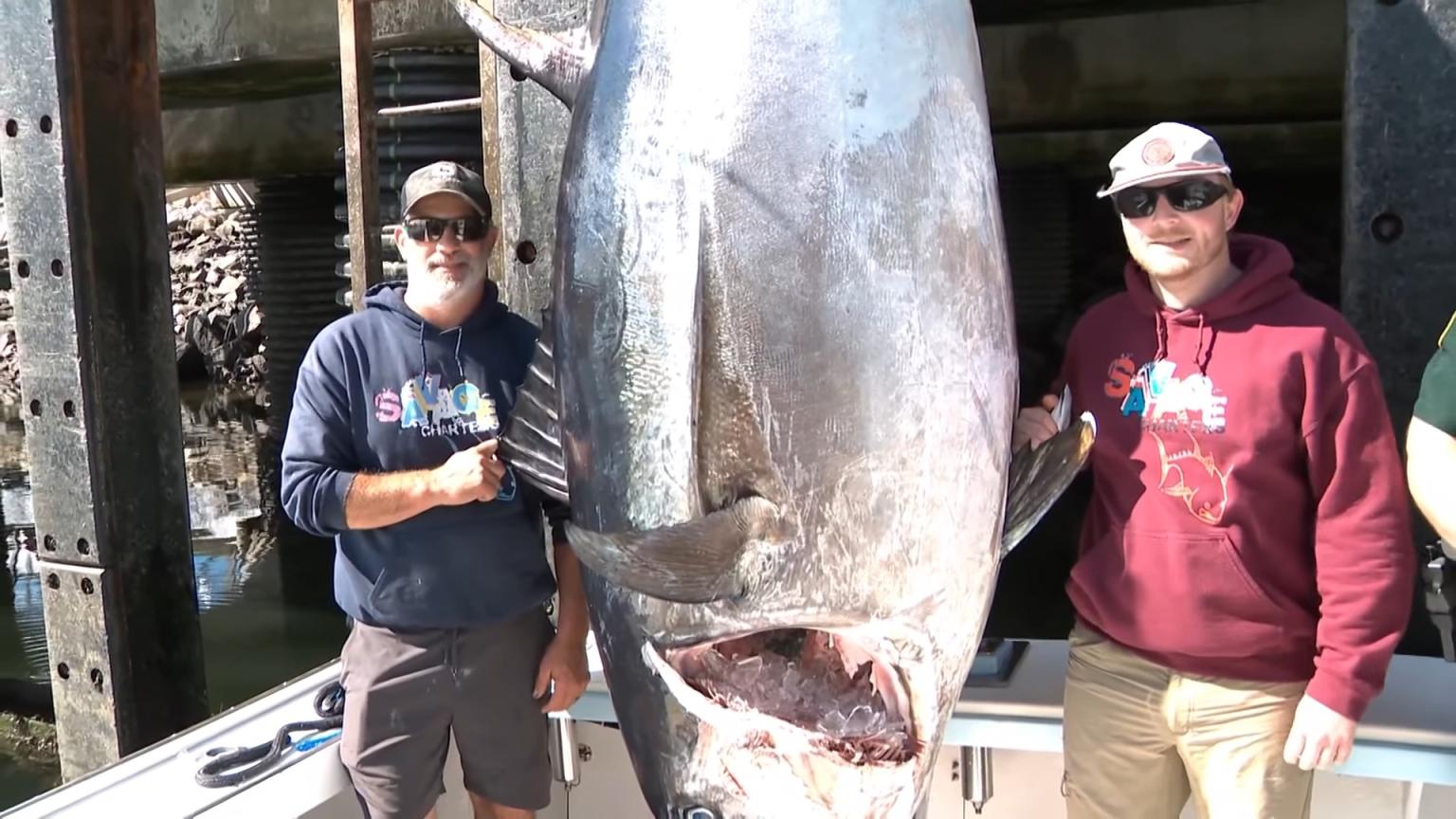 Fisherman breaks record as he catches state's largest bluefin tuna