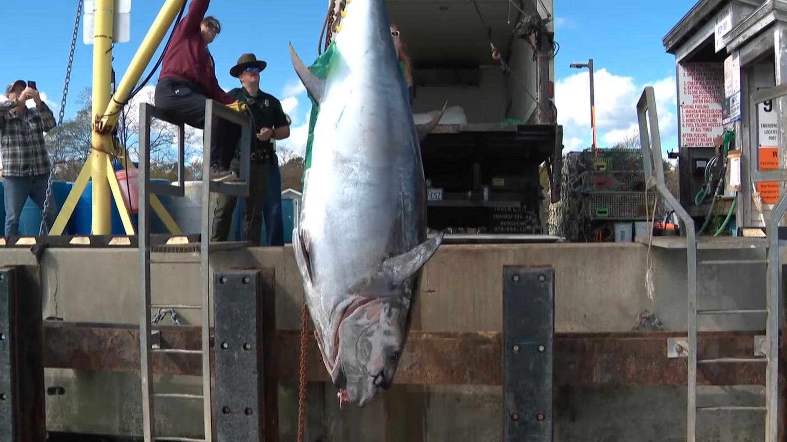 Fisherman breaks record as he catches state's largest bluefin tuna