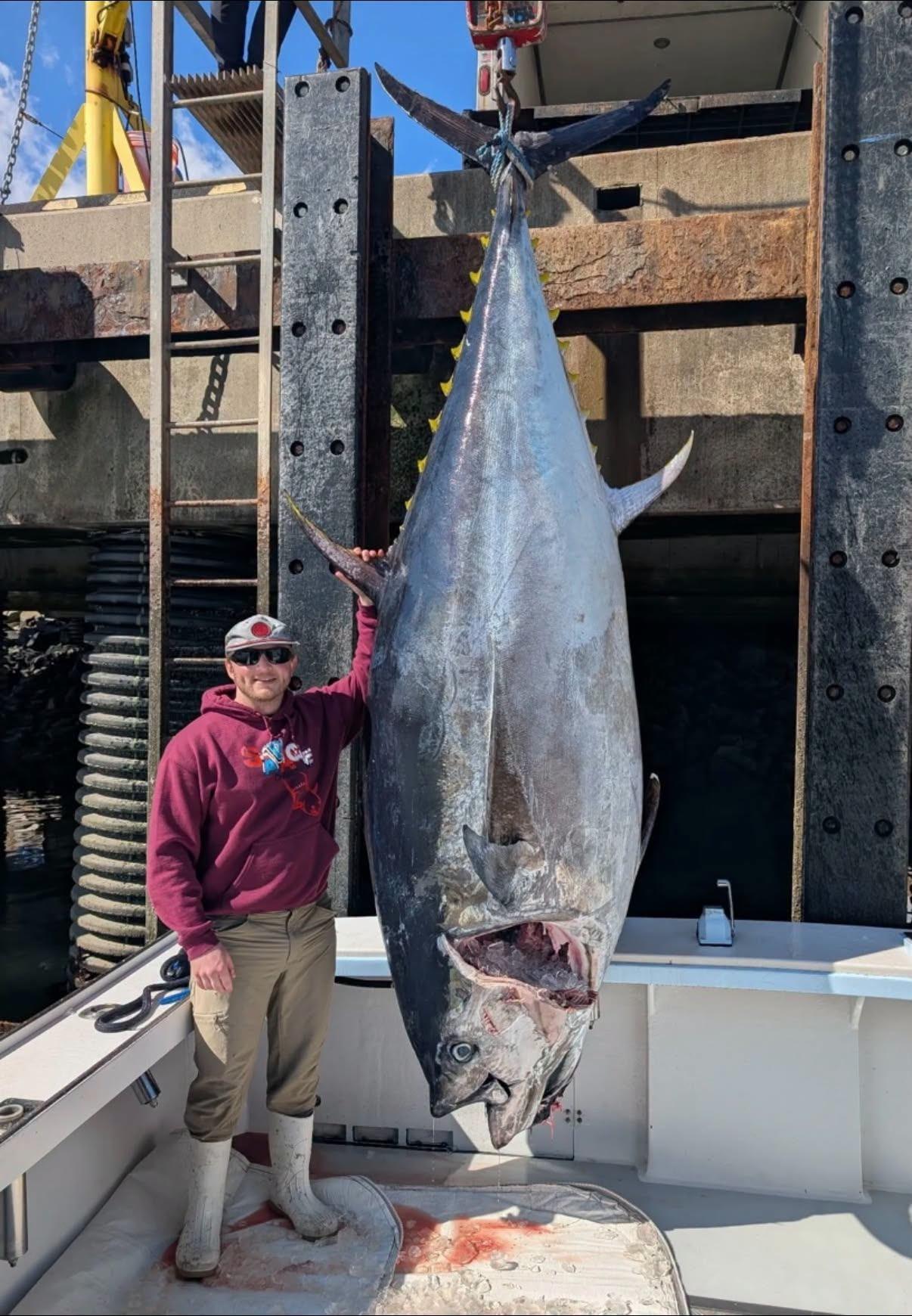 Fisherman breaks record as he catches state's largest bluefin tuna