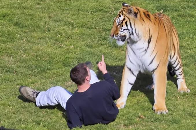 Man who met his end after entering tiger enclosure is named and pictured