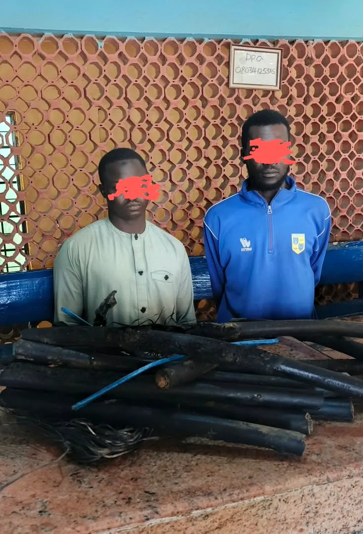 3 arrested over alleged cable vandalism and theft in Jigawa