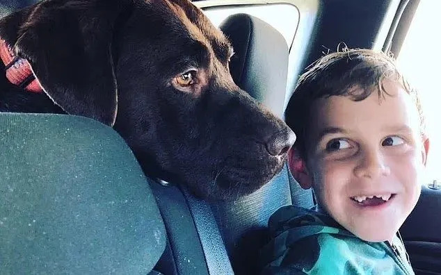 Parents k!ll their autistic sons, their 3 pets, and then take their own lives in murd�r-su!cide