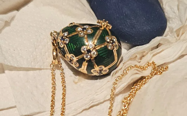 Thief passed diamond coated egg through his anus fully intact after swallowing it