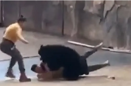 Bear attacks trainer in front of audience after being forced to ride hoverboard (video)