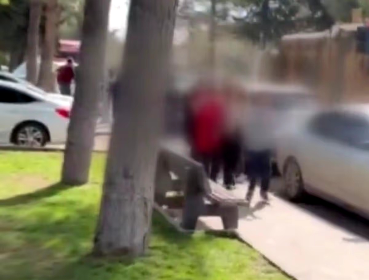 Multiple injured after gunman opens fire in school as pupils