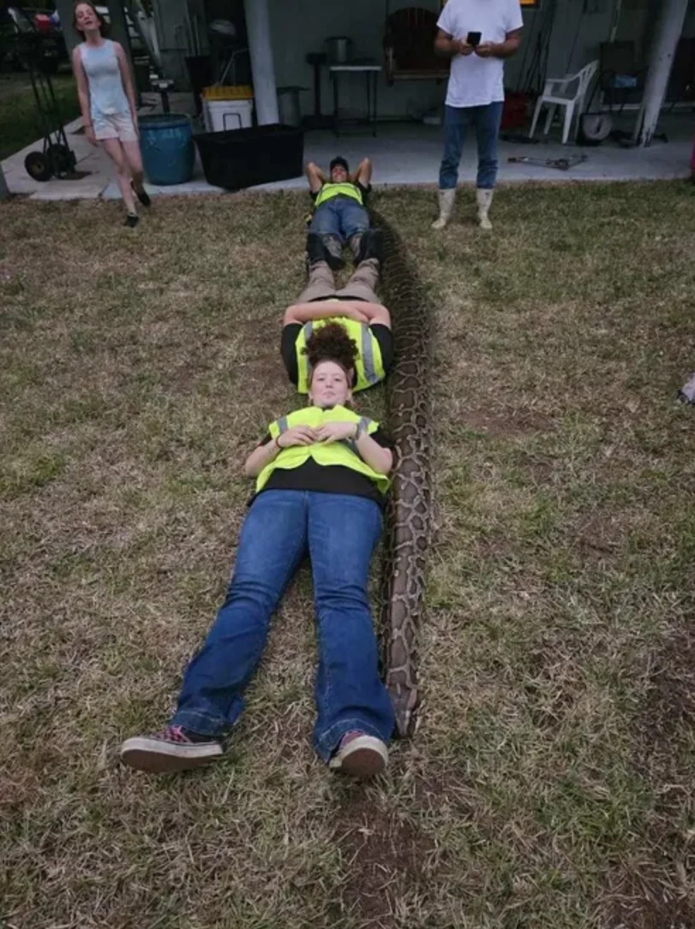 Large python drags hunter 15 feet over ant hill until family intervenes