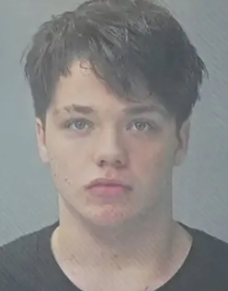 Teens lured girl into woods before she was ?shot de@d and set on fire?