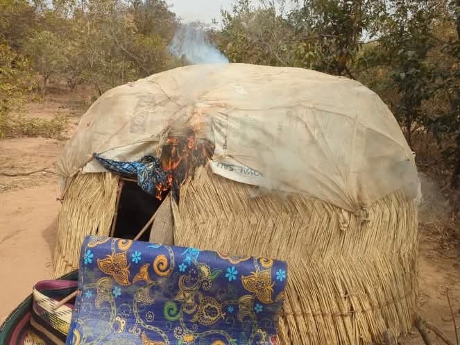 Troops neutralize six terrorists, rescue kidnapped underage victim in Zamfara