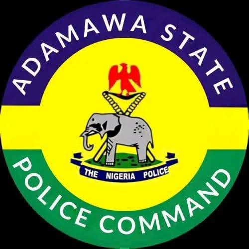 Terrorists abduct six family members in Adamawa