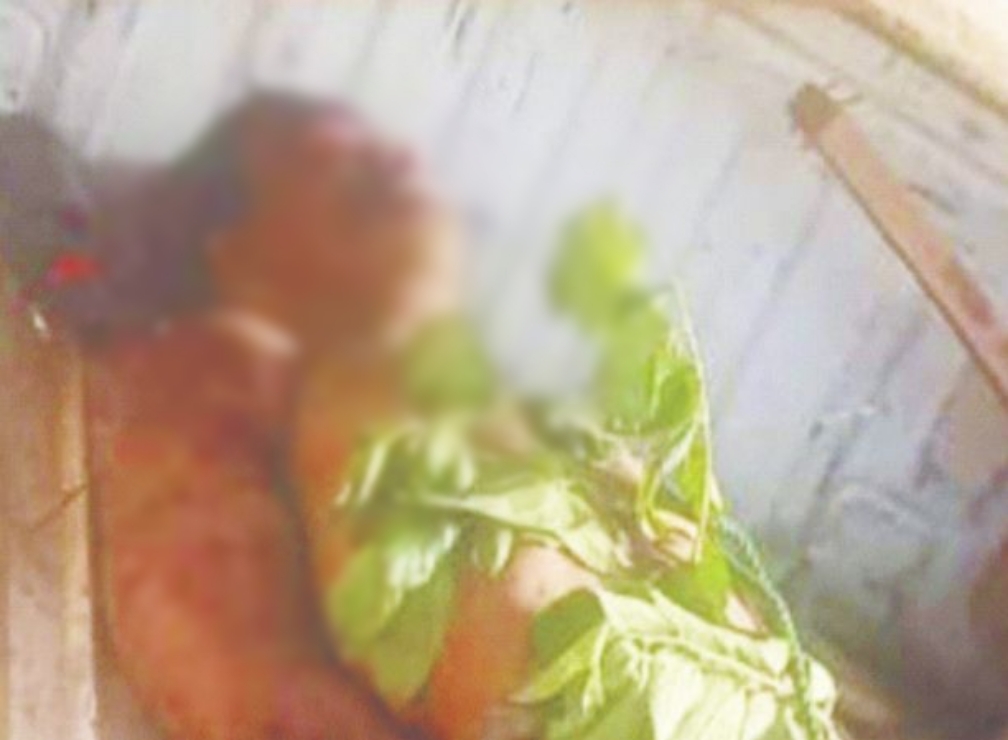 Lifeless body of unidentified man found tied to pole in Ekiti