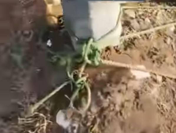 Lifeless body of unidentified man found tied to pole in Ekiti