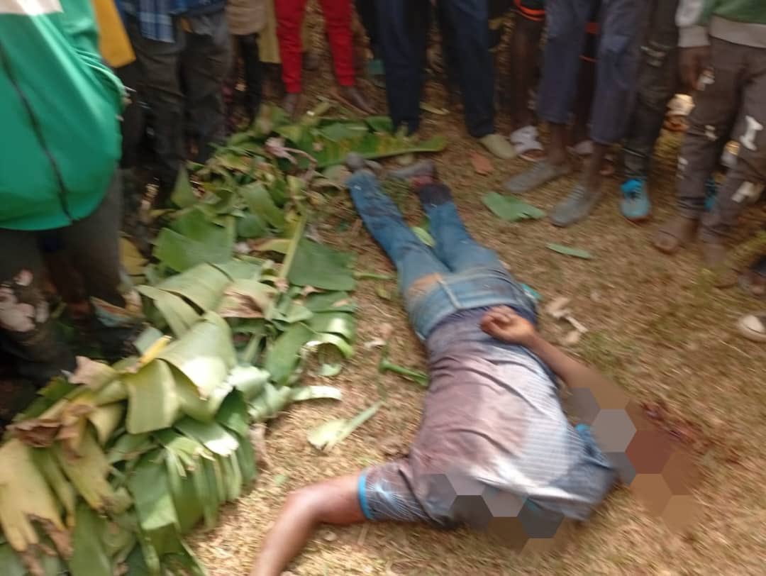 Gunmen k!ll three herders in Plateau