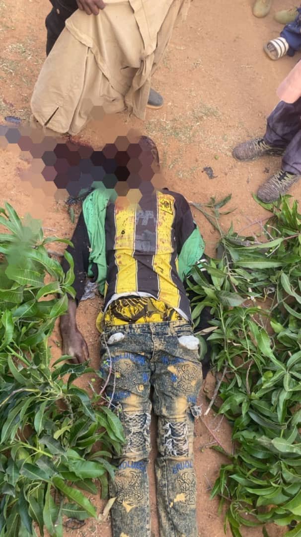 Gunmen k!ll three herders in Plateau