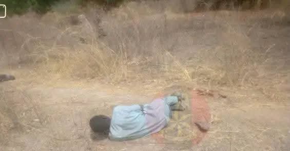 Rescued children reunited with family