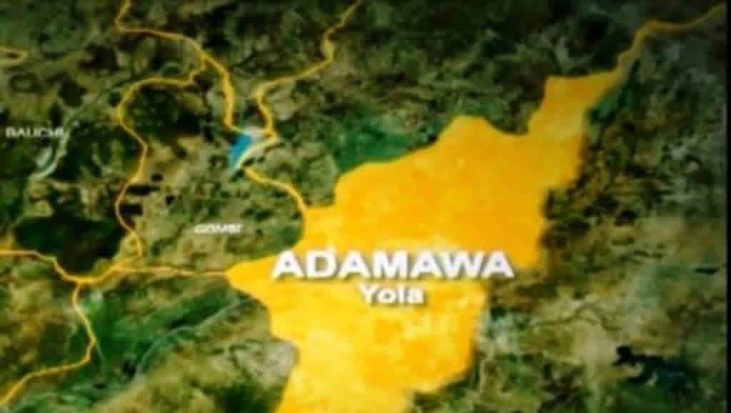 Kidnappers abduct and k!ll ransom bearer in Adamawa