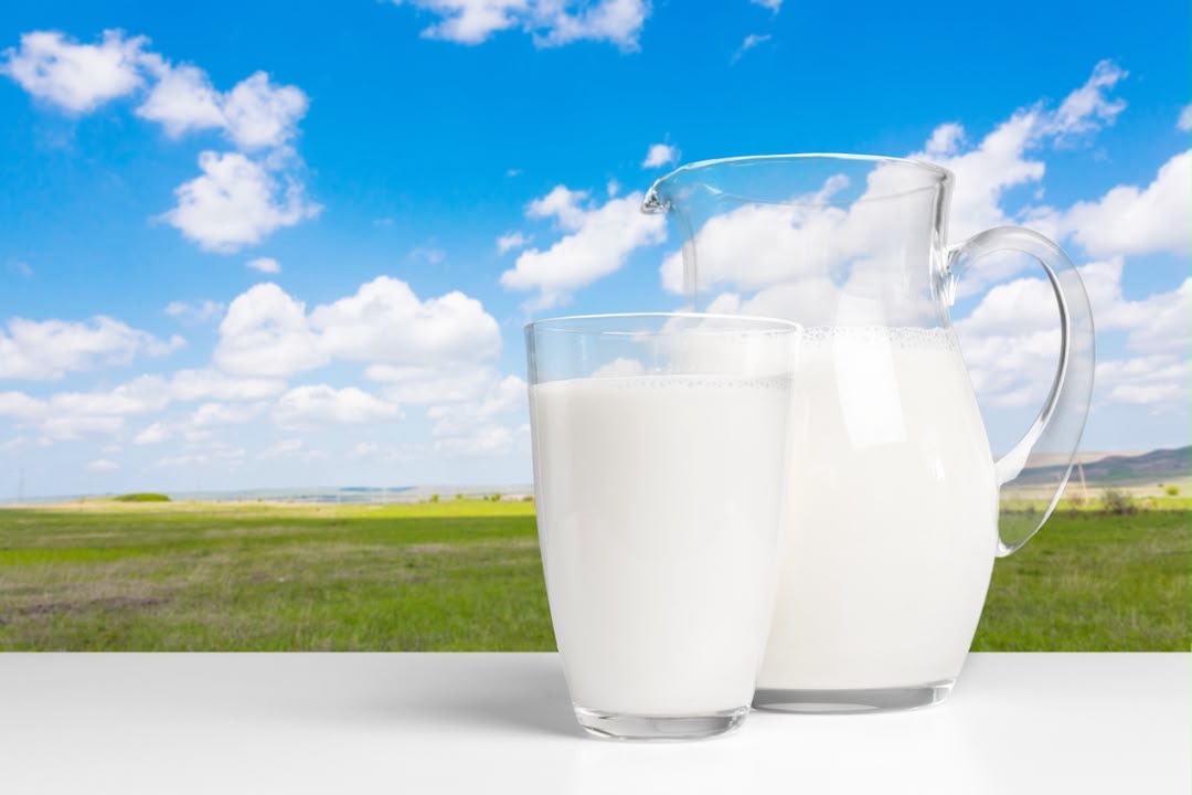 Everything You Thought You Knew About Milk. A Dietitian's Perspective on Why Milk Still Deserves a Place at the Table