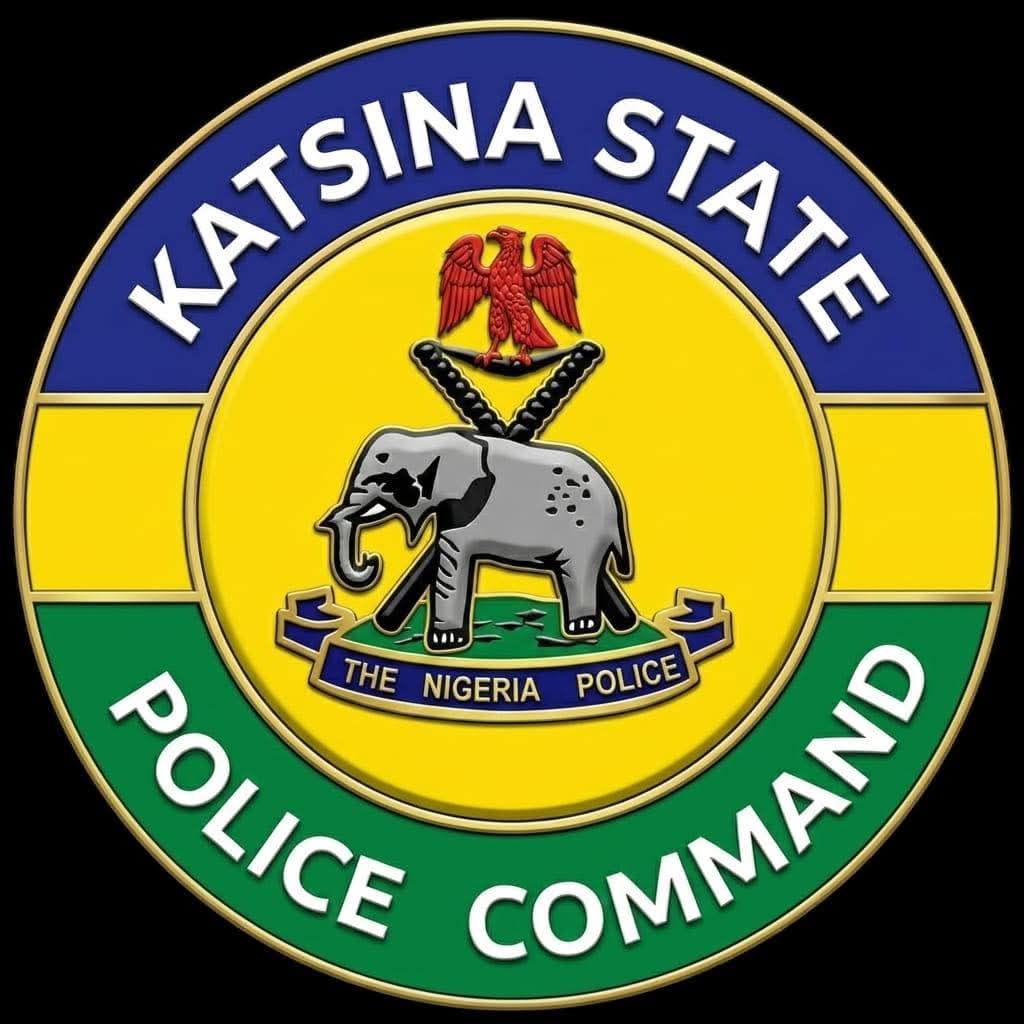 Suspect arrested for attempted ritual k!lling of 10-year-old boy in Katsina
