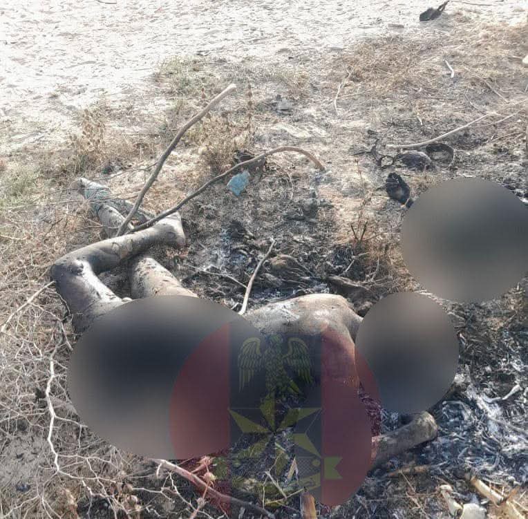 Troops foil coordinated terrorist attacks, k!ll ISWAP commander and 19 insurgents in Yobe