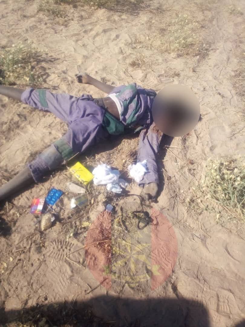 Troops foil coordinated terrorist attacks, k!ll ISWAP commander and 19 insurgents in Yobe