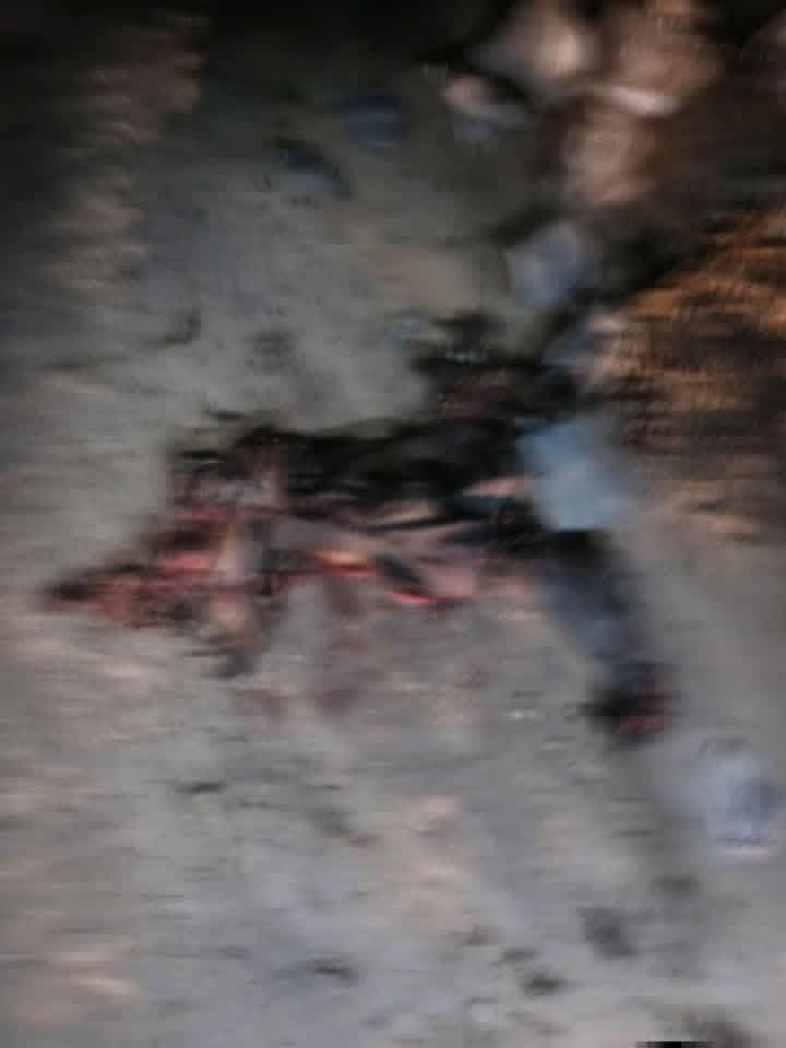 Bomb explosions rock Maiduguri (videos)