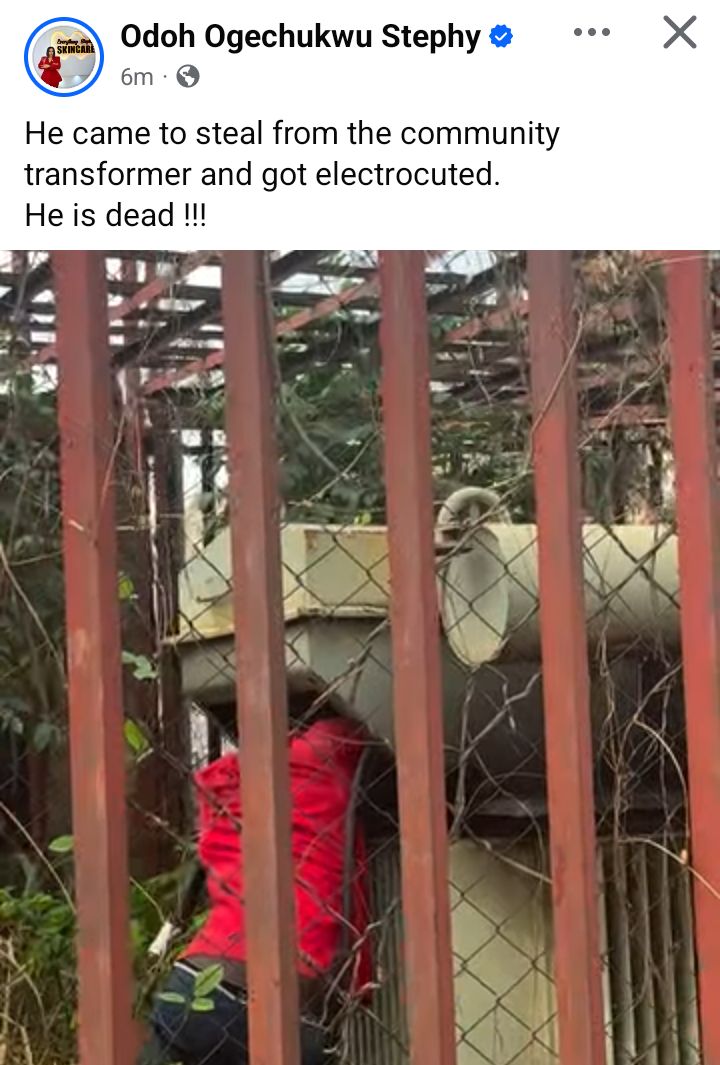 Suspected transformer vandal electrocuted (video)