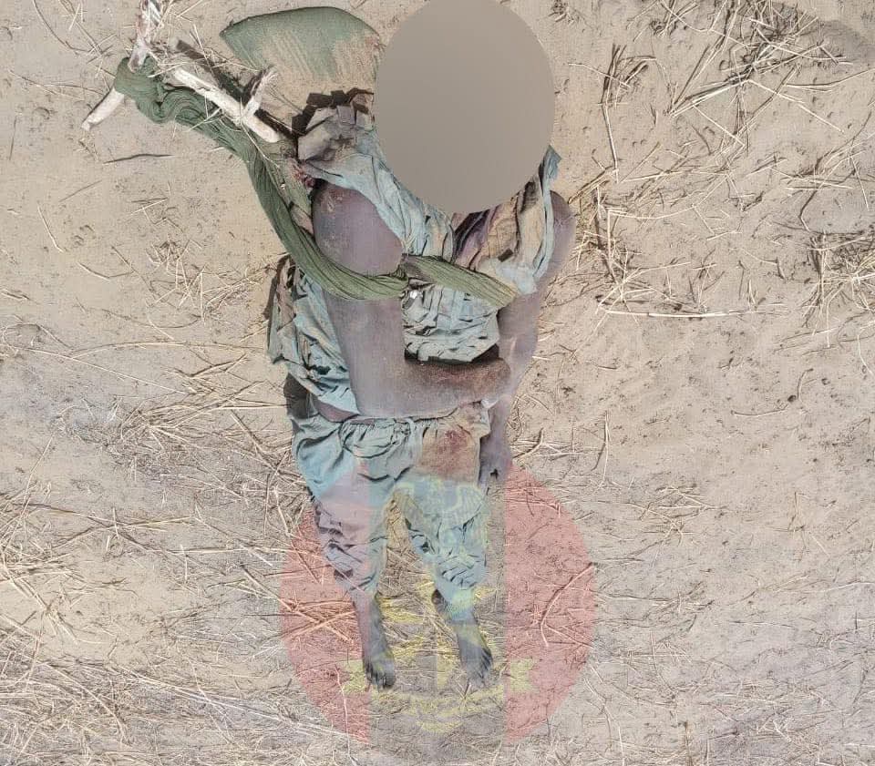 Troops foil terrorist attacks on military locations in Borno, neutralise ISWAP fighters