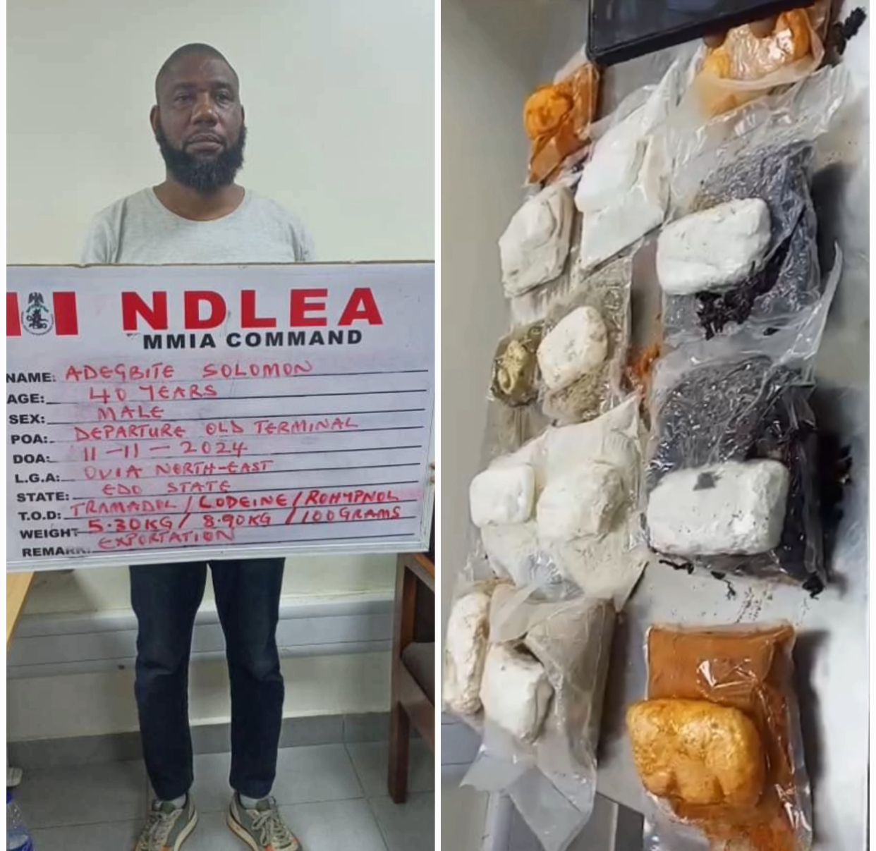 Court sentences Italy-based Nigerian man to 15 years imprisonment for trafficking 1.30kg of tramadol