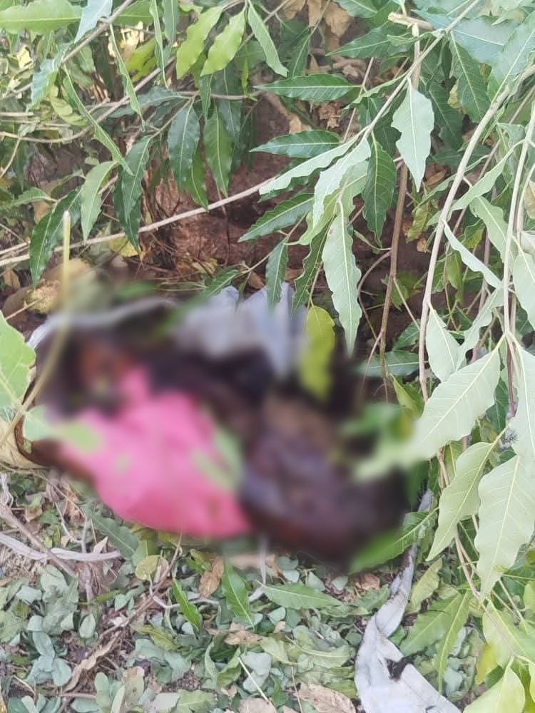 Police arrest man for kidnapping and k!lling his friend's 4-year-old nephew after collecting N100,000 ransom in Bauchi