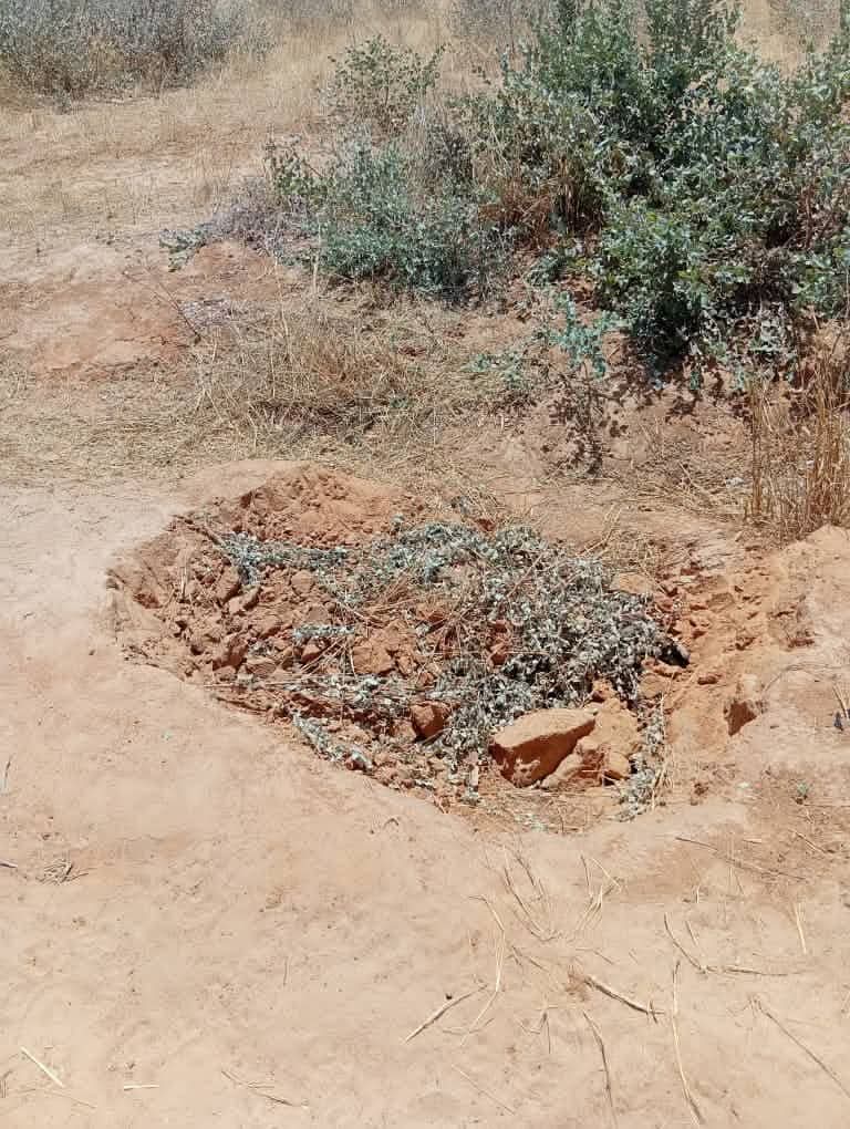 Yobe police discover decomposing body in shallow grave, launch m8rder investigation