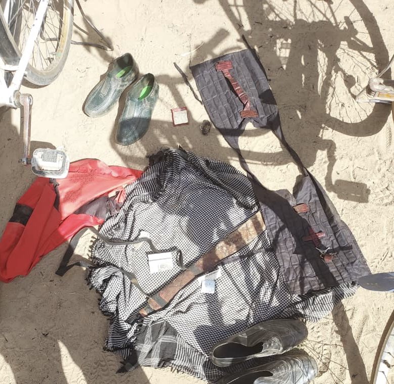 Troops arrest two suspected terrorists? informants in Borno