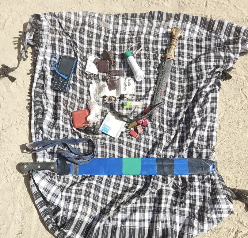 Troops arrest two suspected terrorists? informants in Borno