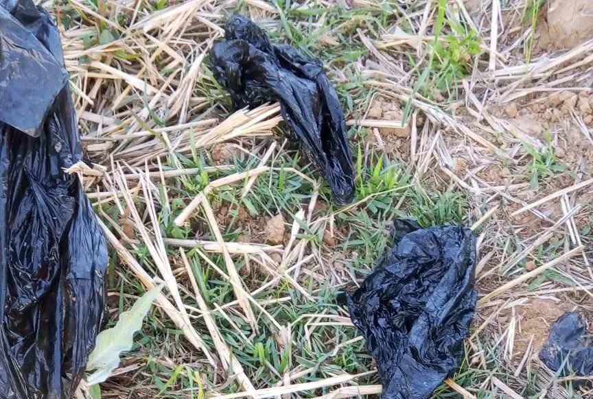 Outrage as unknown mother dumps ab0rted twins at refuse site in Plateau community