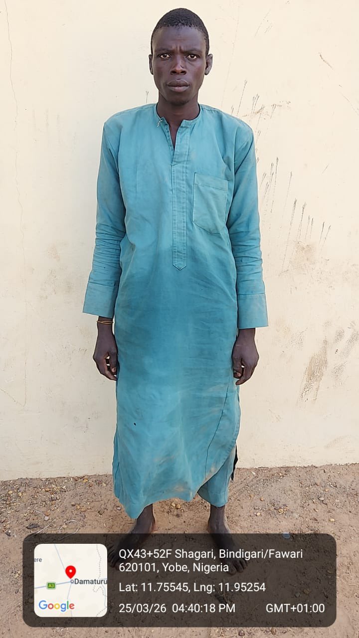 Troops arrest suspected Boko Haram logistics supplier in Borno