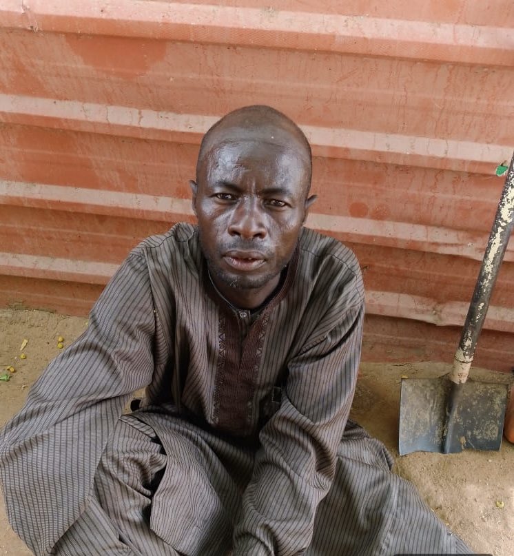 Nigerian Army arrests 53 suspected terrorist logistics suppliers in one week in Borno