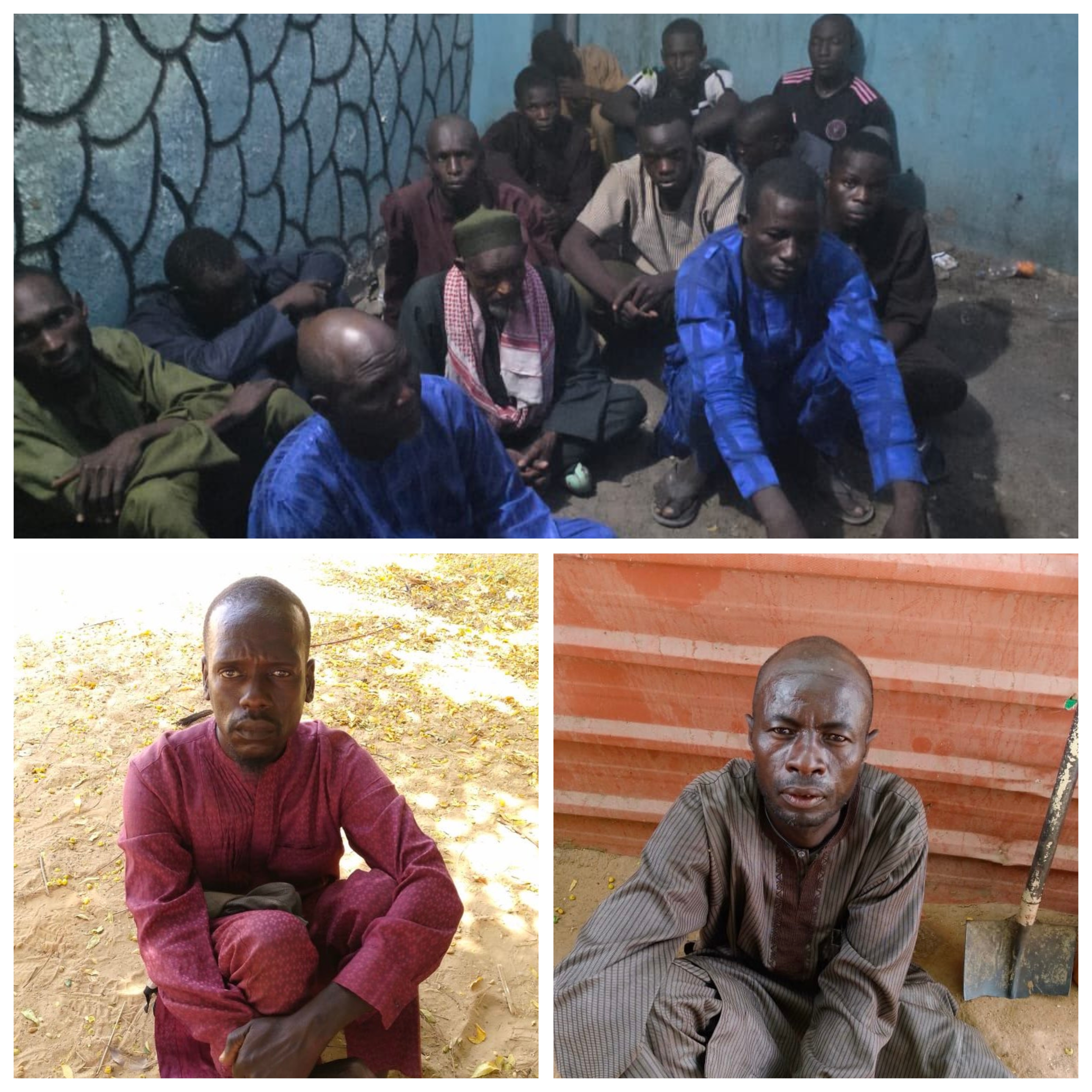 Nigerian Army arrests 53 suspected terrorist logistics suppliers in one week in Borno