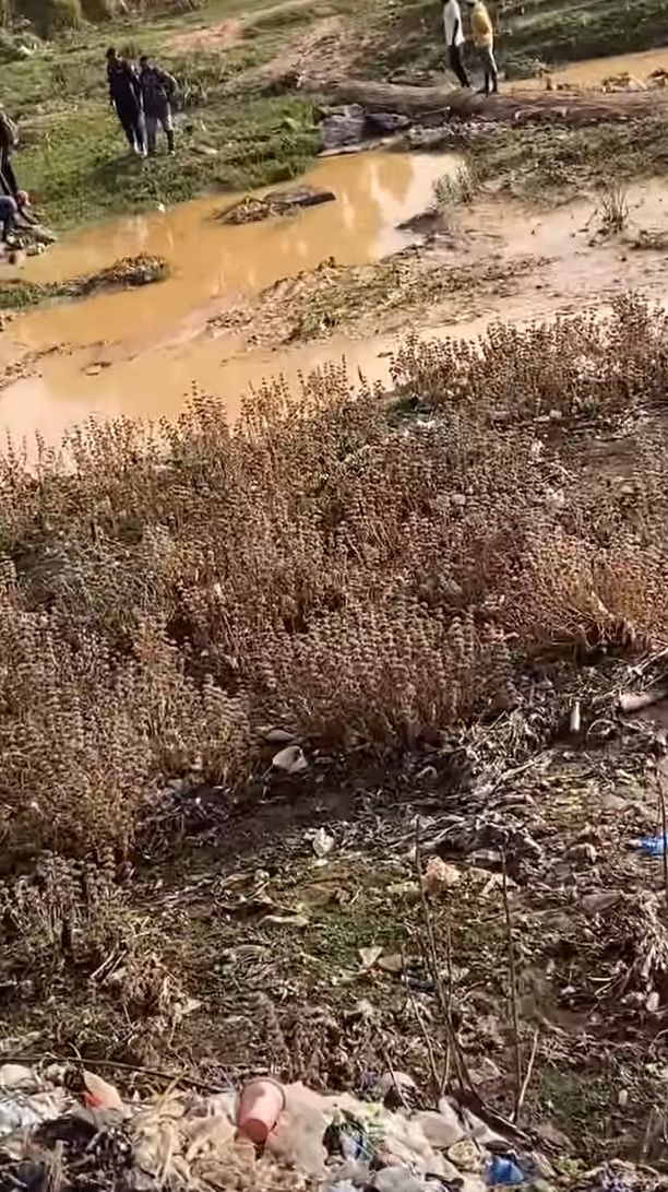 Unknown assailants allegedly k!ll woman, dump her body in Plateau river