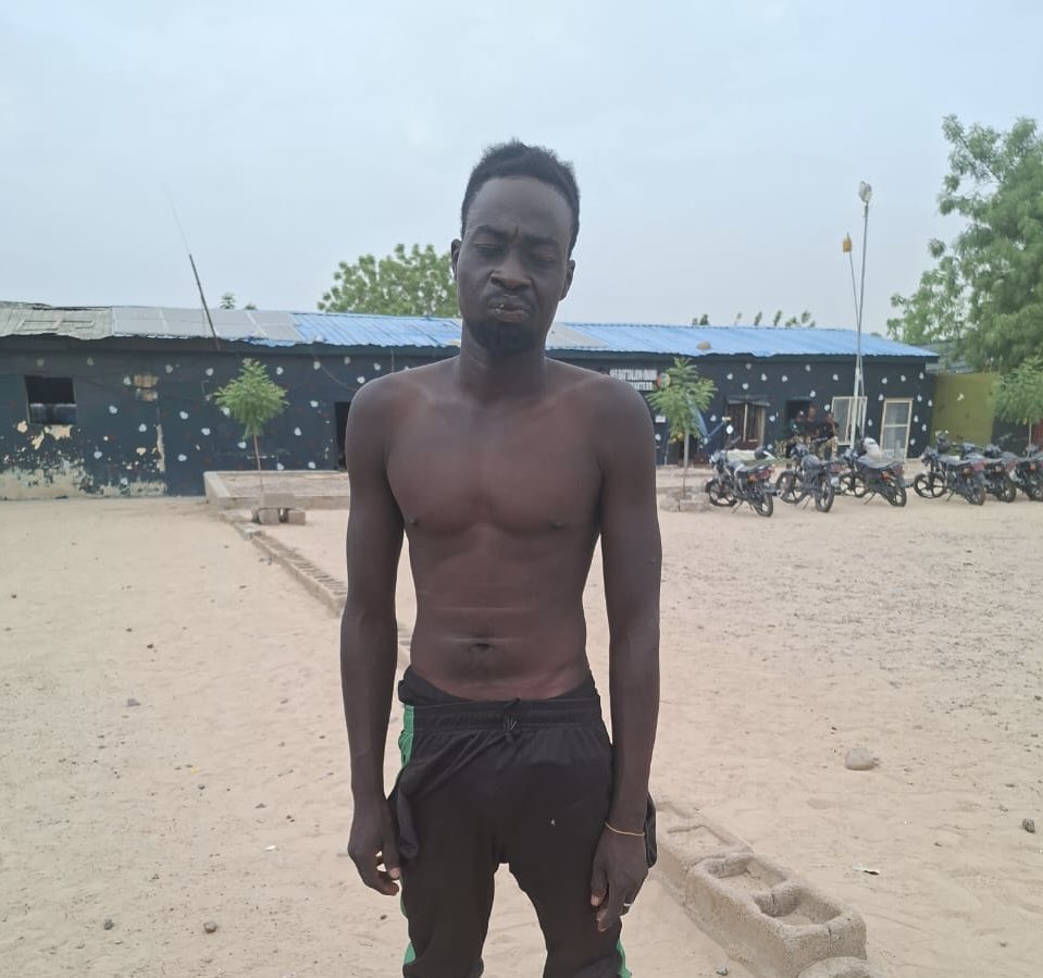 Troops arrest two suspected ISWAP terrorist informants along Nigeria?Niger border in Borno