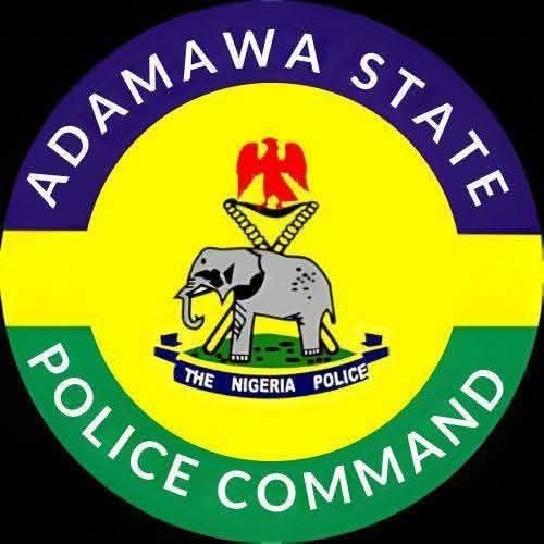 Police arrest two suspects for st@bbing 25-year-old man to d8ath in Adamawa