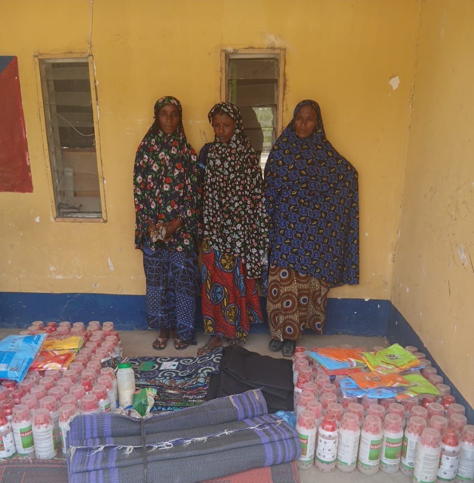 Three suspected female terrorist collaborators arrested in Borno