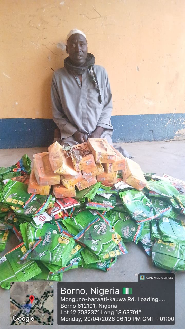 Troops arrest suspected ISWAP logistics courier in Borno