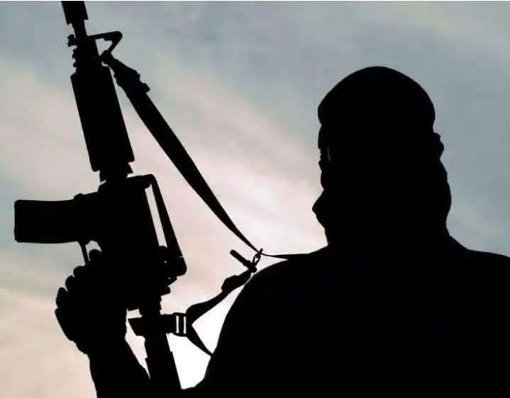 Gunmen k!ll traditional ruler, wife, son and other family members in fresh Benue attack