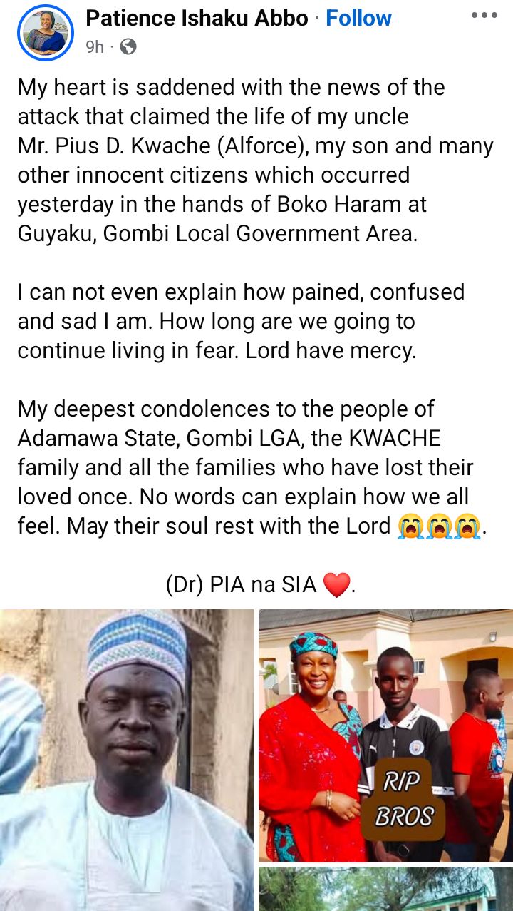 Terrorists attack Adamawa community, k!ll 29 villagers