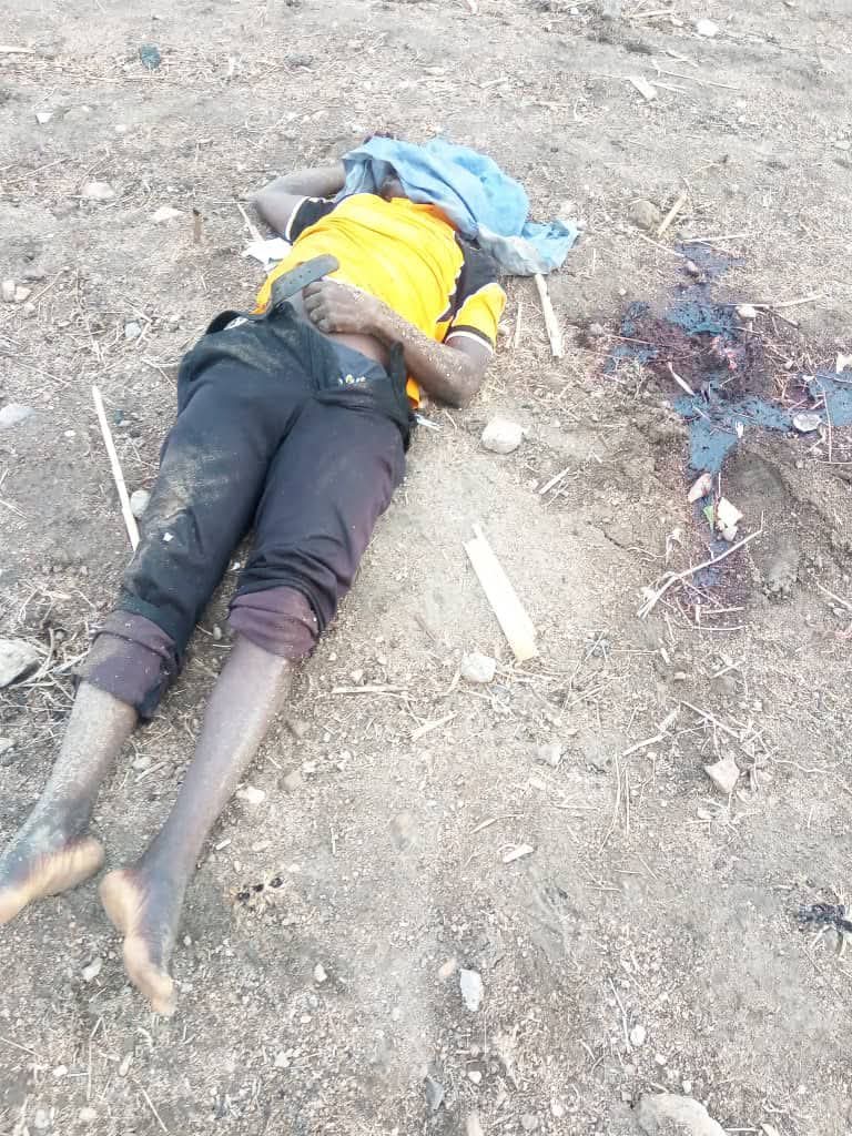 Terrorists attack Adamawa community, k!ll 29 villagers