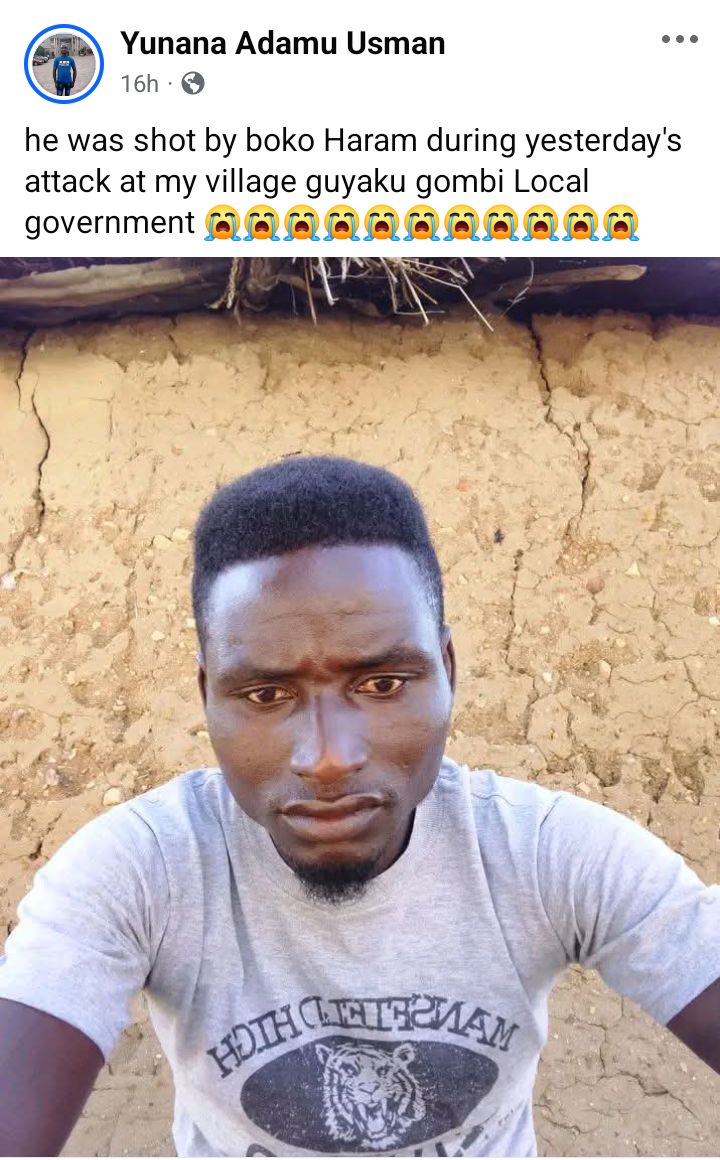 Terrorists attack Adamawa community, k!ll 29 villagers