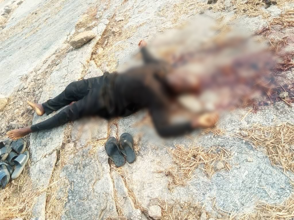 Terrorists attack Adamawa community, k!ll 29 villagers